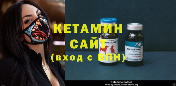 сатива Верея