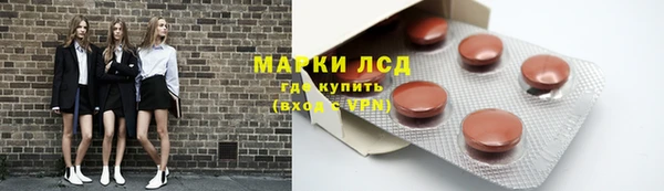 сатива Верея