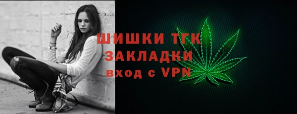 сатива Верея