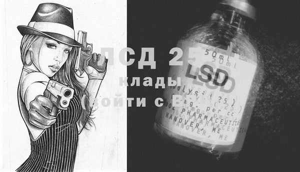 сатива Верея