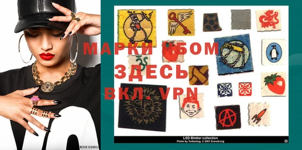 сатива Верея