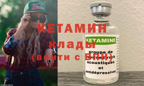 сатива Верея