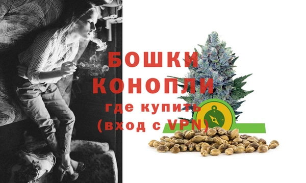 сатива Верея