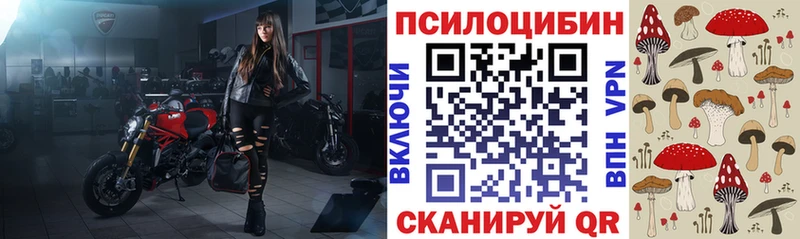 Псилоцибиновые грибы мухоморы  Купить где  Высоцк 